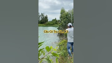 Câu cá tra cám R3 #camr1 #camr3 #camr2