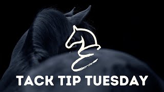 Tack Tip Tuesday - What is a curb strap doing on a Snaffle bit? Wealth