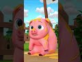 Pat A Cake Farm Animals Song🐄🐔🐑  | Newborn Nursery Rhymes &amp; Kids Songs