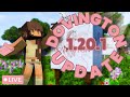 DOVINGTON 1.20.1 UPDATE 🔴 Cozy Building Stream