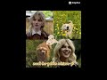 #edit #natalie #yellowjackets #sophiethatcher #lottie
