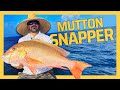 Epic bottom fishing trip on new boat featuring the fishman