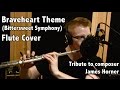 Braveheart Theme (Bittersweet Symphony) Flute Cover by Kyle Pickard (Tribute to James Horner)