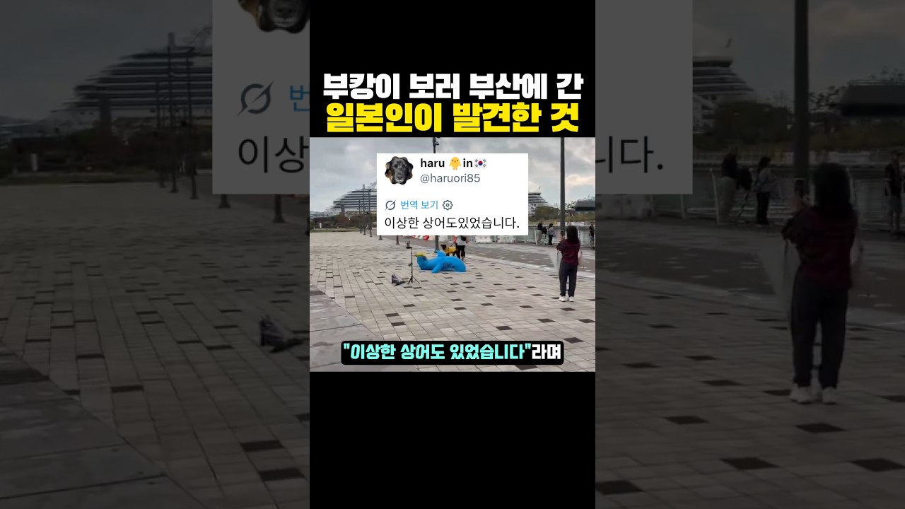 부캉이 보러 '부산에 간' 일본인이 발견한 것?ㅋㅋㅋ