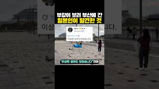 부캉이 보러 '부산에 간' 일본인이 발견한 것?ㅋㅋㅋ