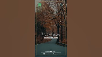ماتيسر من سورة النساء | القارئ: عبدالرحمن السلمي