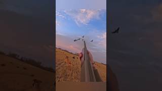 "Охота на гусей: идеальный выстрел на рассвете!" #goosehunting #охота #охотанагусей #природа #гуси