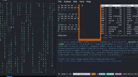 how to create fake hacking environment in Kali Linux 2020.3|hacking|cyber security|hacking community