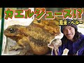 【衝撃】まるごとカエルジュース！？