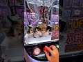 Cat Plays the Claw Machine Like a Pro Gamer 🐾🕹️😼 #shorts #cats