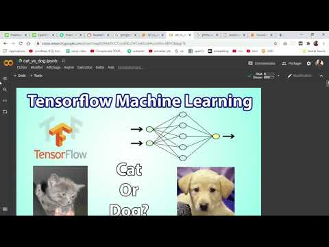 Classification d&rsquo;image(vision par ordinateur) chien vs chat avec tensorflow et keras