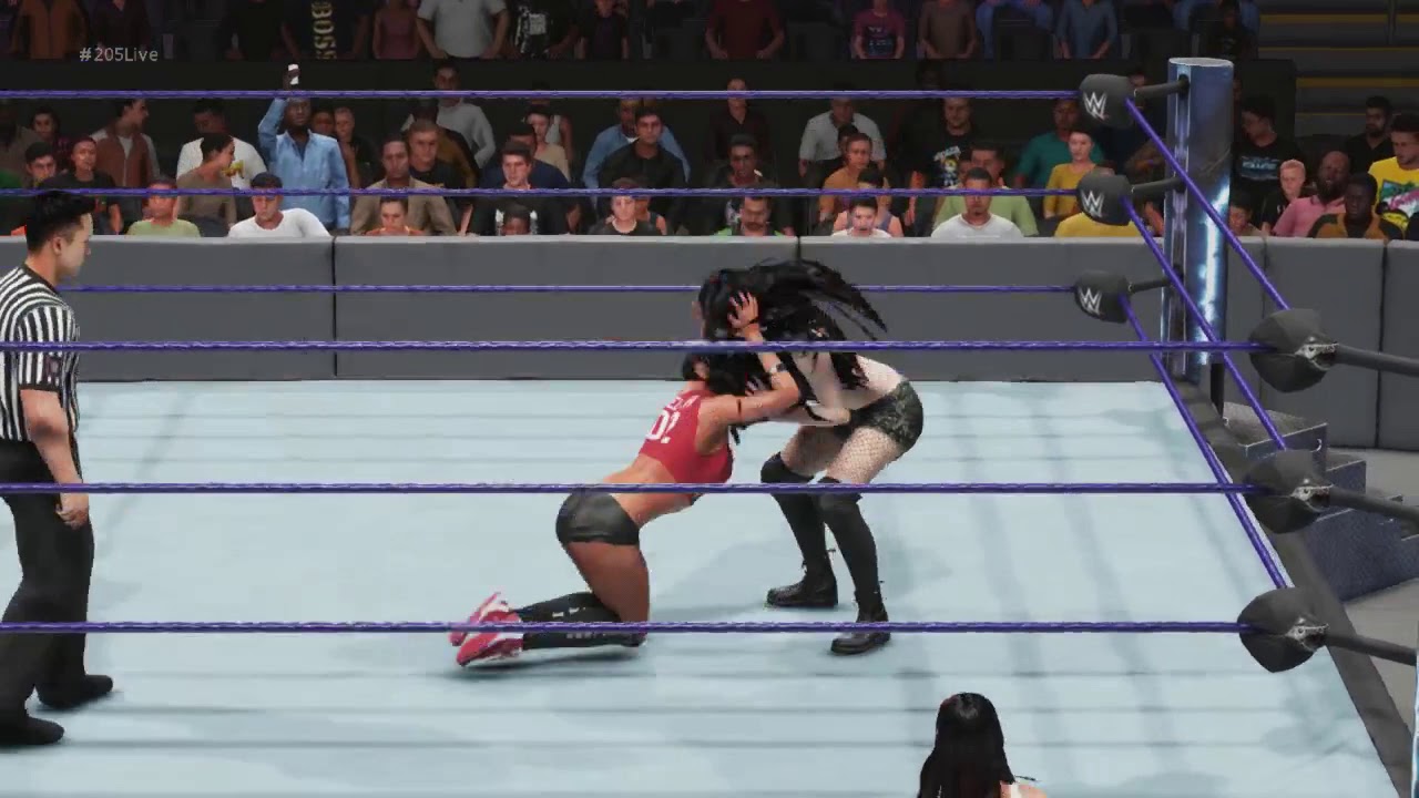 Paige Vs Nikki Bella - Match WWE 2K19 - YouTube