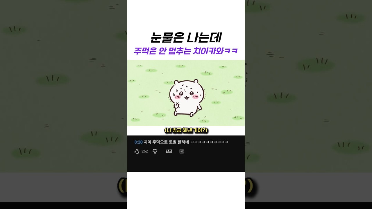 눈물은 나는데 주먹은 안 멈추는 치이카와ㅋㅋ