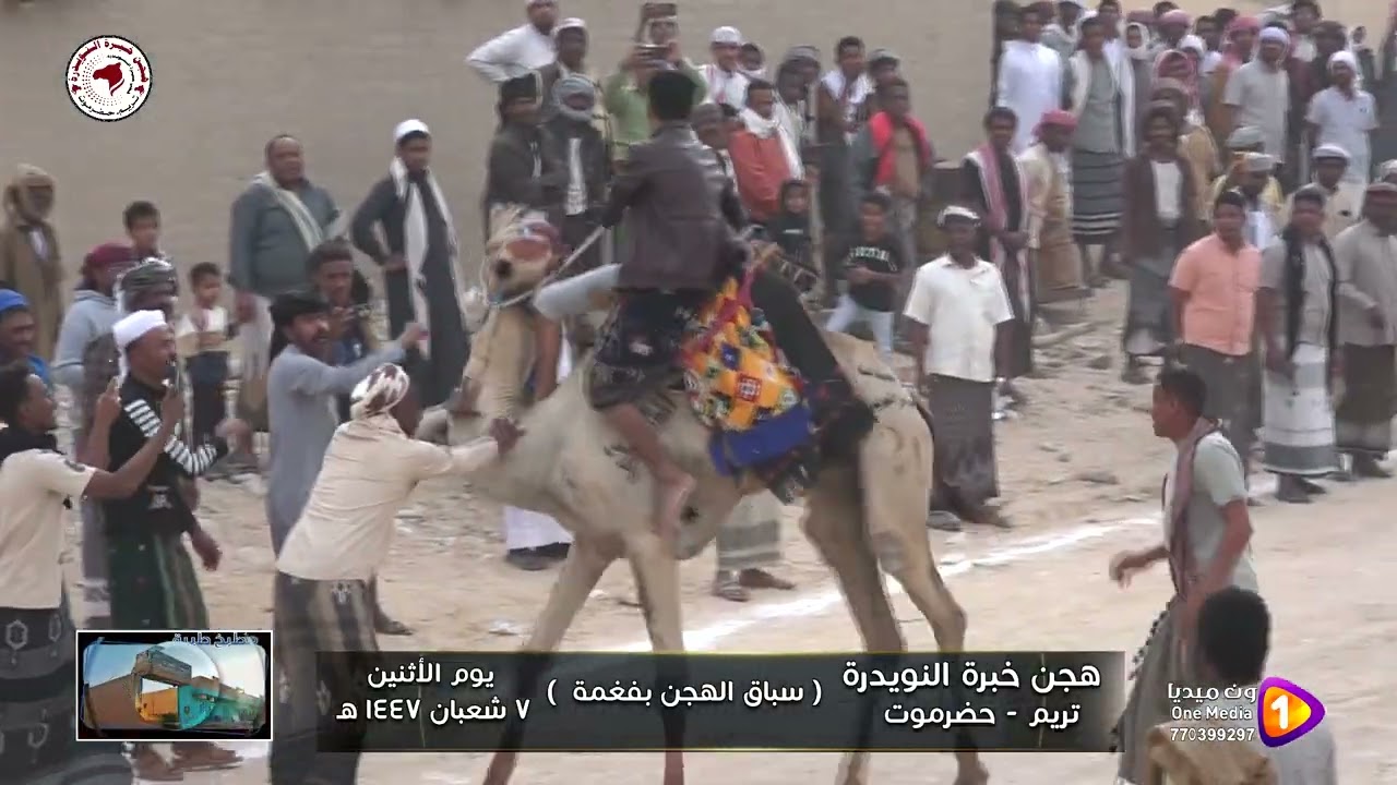 هجن خبرة النويدرة 1447 ه سباق فغمه