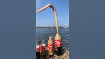 Coke & Mentos Bottle INSIDE Balloon!! *Experiment!* - #Shorts