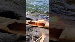 Crazy bamboo can fight against the water current, it turns out it contains the black dragon heirl...