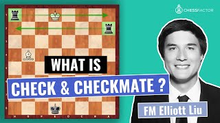 What is Check and Checkmate | Chess Fundamentals | FM Elliott Liu