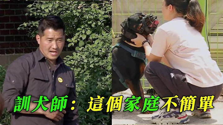 猛犬羅威納，被瘦弱的女主人拿捏，得知主人職業後，訓犬師選擇遙控訓犬 - 天天要聞