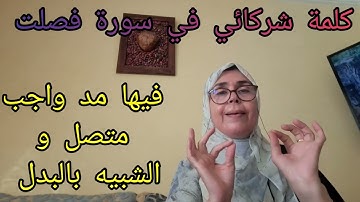 قناة ذ.فريدة . كيف اقف على كلمة شركائي في سورة فصلت . مرحبا الجواب هنا