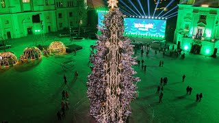 Pagrindinės Kauno eglutės įžiebimas Rotušės aikštėje - jau šį vakarą!