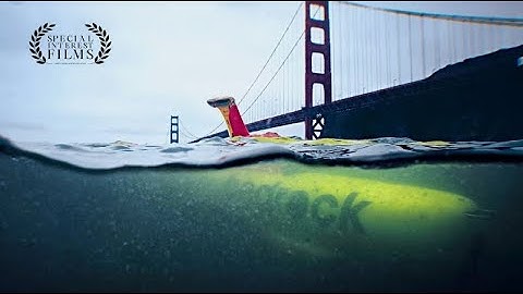 Bedrock Ocean: Scalable Technology That