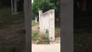 Một Lô Đất Biệt Thự Nhà Vườn Đẹp Như Hoàng Hậu 30X62 Gần Đường Nhánh Cao Tốc Bên Cạnh Đường S Tơ Lụa