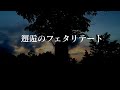 ヲタ芸 邂逅のフェタリテート 甘いちくパ ヲタ芸 邂逅のフェタリテート 甘いちくパ