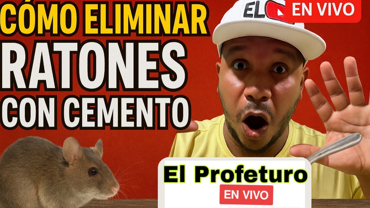 Método Eficaz para Eliminar Ratones 🐁 Usando Cemento 🫵🏽HÁGALO EN CASA 🏡 ...