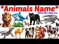 Animal Name |বিভিন্ন জীবজন্তুর নাম| Animal Name With Pic and Video| English To Bengali animal name |