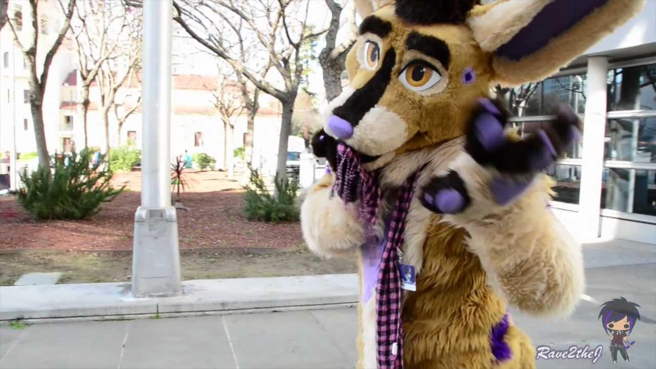 Further Confusion 2013 FurVideo