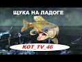 ЩУКА НА ЛАДОГЕ.РР4 ,РУССКАЯ РЫБАЛКА 4 .russian fishing 4.KOT_TV_46 .