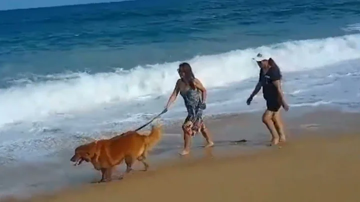 we exercise at the beach |Bondi and My friend Rosi...