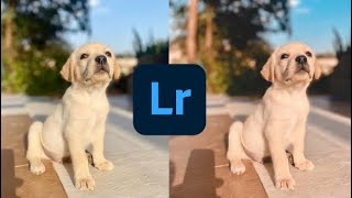 #LightroomMobileTutorial​ 02 : How To Edit Photos with basic tools(Colorgrading/correction)