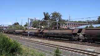 Five 82 Cl Lead Pn Mc98 Loaded Coalie - 31118