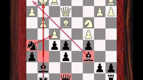 Pet Opening Lines (Variations) : Taking on Opponent