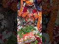 MAA BUDHI THAKURANI ALATI #berhampur #odisha #dandanacha #thakurani #kali #maa #puja