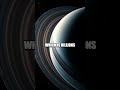 The Enigmatic Rings of Neptune