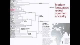 Biology 1001 - Human Origins 3