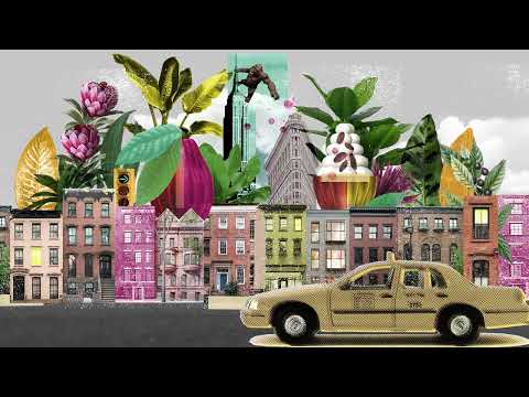Changing the Chocolate Industry - Blue Stripes - video from BLUESTRIPES