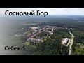 Поселок Сосновый Бор, Себеж-5 июль 2021 года