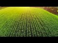 ．一種天然環保的肥料
