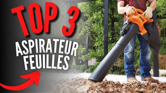 TOP 4 : Meilleur Aspirateur Souffleur de Feuilles 2022 