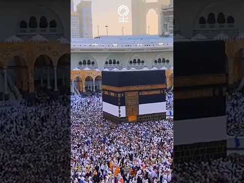 فيديو نادر لموسم الحج كيف كان يتجه يسافر الناس لأداء فريضة الحج قبل 90 عام