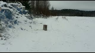 Tropic Exploder 5 vs Block Of Wood.
