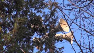 防災行政無線チャイム　神奈川県横浜市緑区中山町16時「ふるさと」