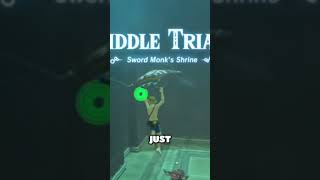 Top 10 Hardest Items to Get in Zelda | No.01 | #zelda #zeldaocarinaoftime #zeldabotw #nintendodirect