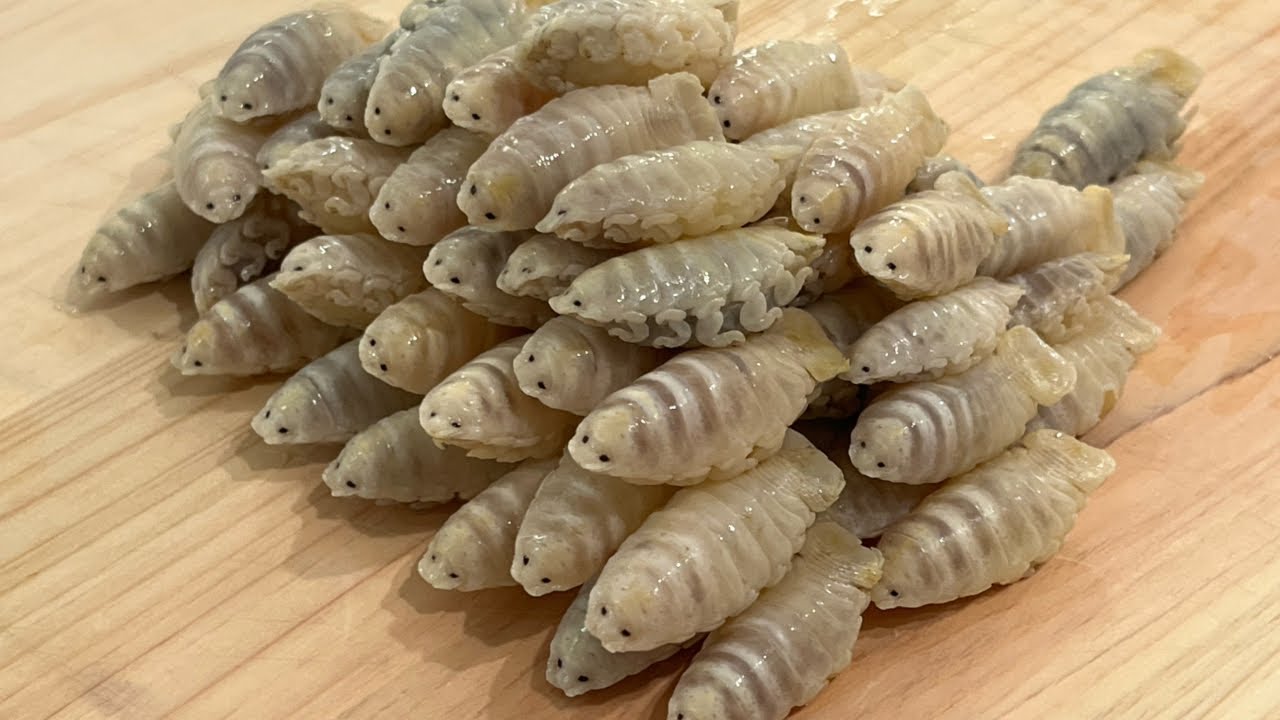 観覧注意』魚に住み着く寄生虫を美味しくいただきました♪ - YouTube