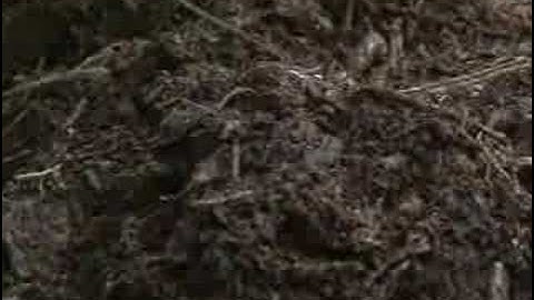 Backyard Composting-Part 1 of 2