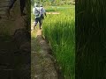 Mabar mancing|| yuk mancing bareng temen