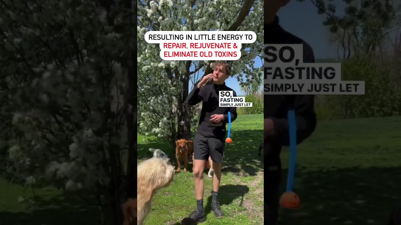 Fasting your dog, holistic health. Food and diet dog lovers. 